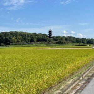 Groepswandelreis in Japan
