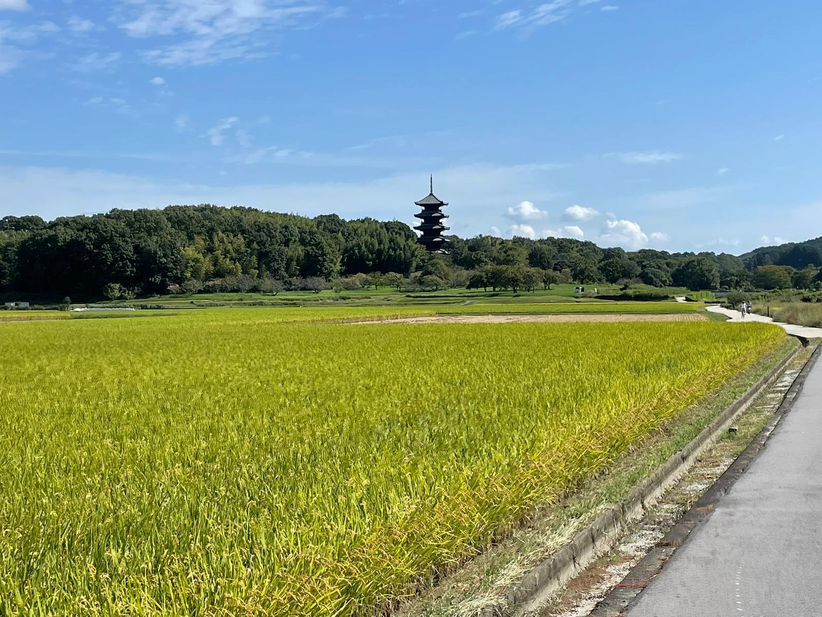 Groepswandelreis in Japan